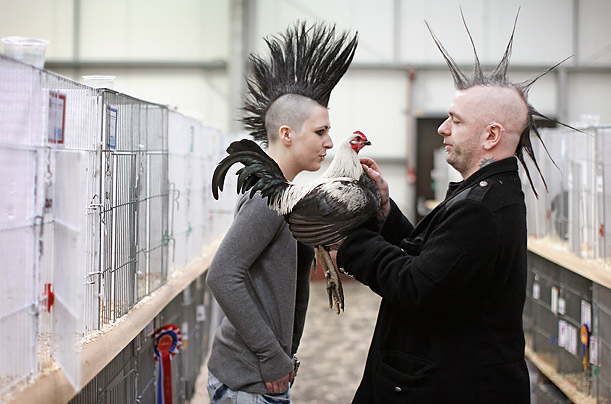 bird_heads bird_heads
