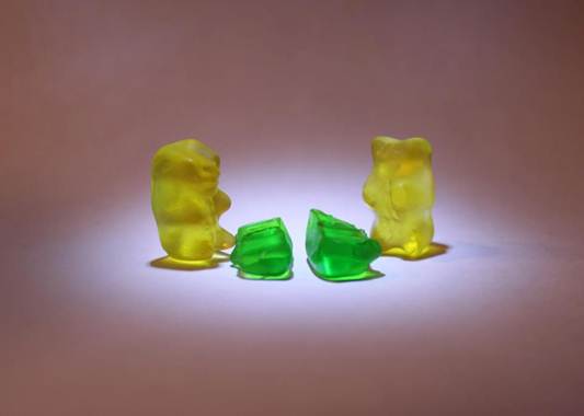 gBears gBears