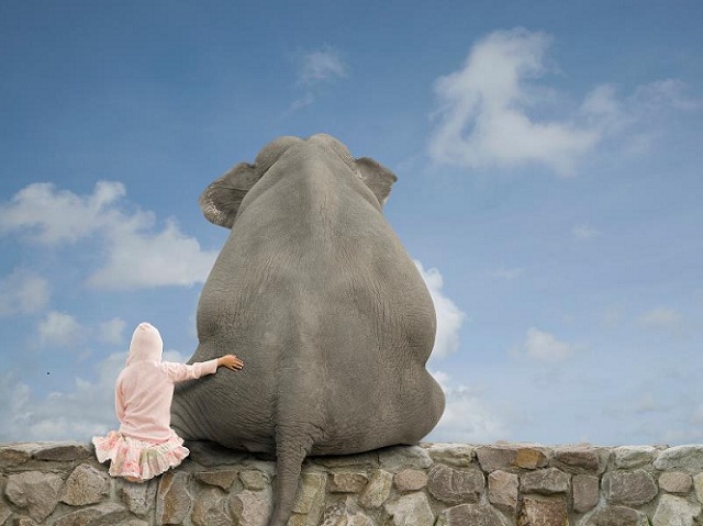 wall_elephant